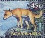 动物:大洋洲:澳大利亚:au199720.jpg