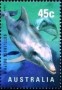 动物:大洋洲:澳大利亚:au199811.jpg