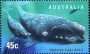 动物:大洋洲:澳大利亚:au199812.jpg