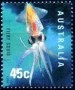 动物:大洋洲:澳大利亚:au199815.jpg