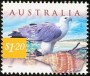 动物:大洋洲:澳大利亚:au199905.jpg