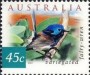 动物:大洋洲:澳大利亚:au200105.jpg