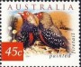 动物:大洋洲:澳大利亚:au200106.jpg