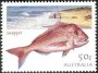 动物:大洋洲:澳大利亚:au200301.jpg