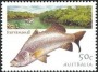 动物:大洋洲:澳大利亚:au200305.jpg