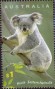 动物:大洋洲:澳大利亚:au200405.jpg