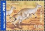 动物:大洋洲:澳大利亚:au200509.jpg
