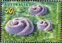 动物:大洋洲:澳大利亚:au200510.jpg