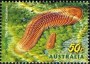 动物:大洋洲:澳大利亚:au200512.jpg