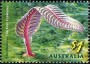 动物:大洋洲:澳大利亚:au200515.jpg