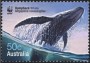 动物:大洋洲:澳大利亚:au200601.jpg