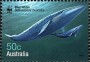 动物:大洋洲:澳大利亚:au200602.jpg