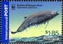 动物:大洋洲:澳大利亚:au200604.jpg