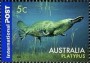 动物:大洋洲:澳大利亚:au200605.jpg