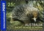 动物:大洋洲:澳大利亚:au200606.jpg