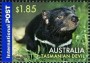 动物:大洋洲:澳大利亚:au200608.jpg
