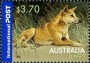 动物:大洋洲:澳大利亚:au200610.jpg
