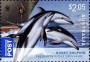 动物:大洋洲:澳大利亚:au200904.jpg