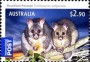动物:大洋洲:澳大利亚:au200909.jpg