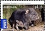动物:大洋洲:澳大利亚:au200910.jpg
