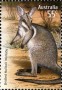动物:大洋洲:澳大利亚:au200917.jpg