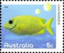 动物:大洋洲:澳大利亚:au201005.jpg