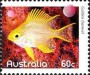 动物:大洋洲:澳大利亚:au201008.jpg