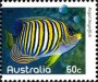 动物:大洋洲:澳大利亚:au201009.jpg