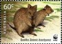 动物:大洋洲:澳大利亚:au201106.jpg