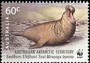 动物:大洋洲:澳大利亚:au201107.jpg