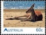 动物:大洋洲:澳大利亚:au201110.jpg