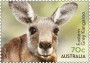 动物:大洋洲:澳大利亚:au201503.jpg