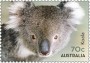 动物:大洋洲:澳大利亚:au201504.jpg
