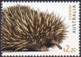 动物:大洋洲:澳大利亚:au201913.jpg