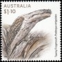 动物:大洋洲:澳大利亚:au202110.jpg