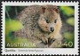 动物:大洋洲:澳大利亚:au202224.jpg