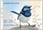动物:大洋洲:澳大利亚:au202302.jpg