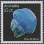 动物:大洋洲:澳大利亚:au202313.jpg