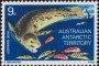 动物:大洋洲:澳属南极:aat197305.jpg