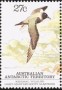 动物:大洋洲:澳属南极:aat198301.jpg