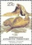 动物:大洋洲:澳属南极:aat198303.jpg