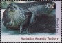 动物:大洋洲:澳属南极:aat199204.jpg