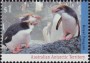 动物:大洋洲:澳属南极:aat199301.jpg