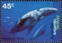 动物:大洋洲:澳属南极:aat199501.jpg