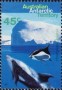 动物:大洋洲:澳属南极:aat199502.jpg