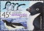 动物:大洋洲:澳属南极:aat200002.jpg