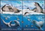 动物:大洋洲:澳属南极:aat200101.jpg