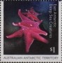 动物:大洋洲:澳属南极:aat201701.jpg
