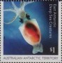 动物:大洋洲:澳属南极:aat201702.jpg