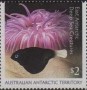 动物:大洋洲:澳属南极:aat201703.jpg